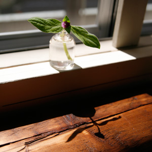 東高円寺にあるカフェバードバス
